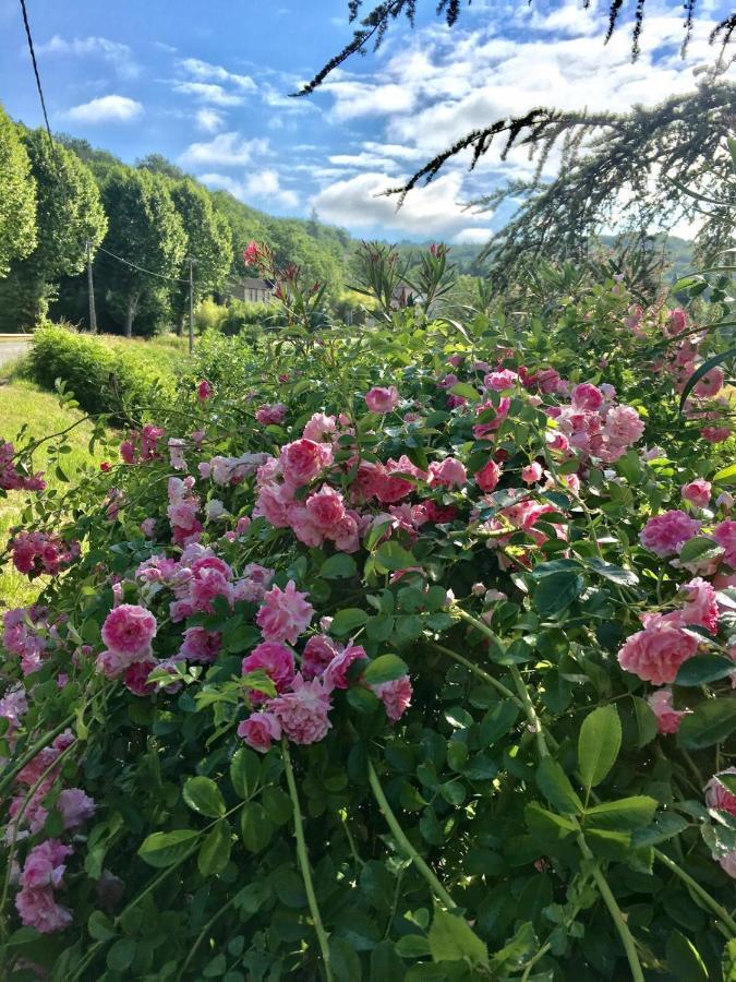La Provencale B&B Duravel エクステリア 写真