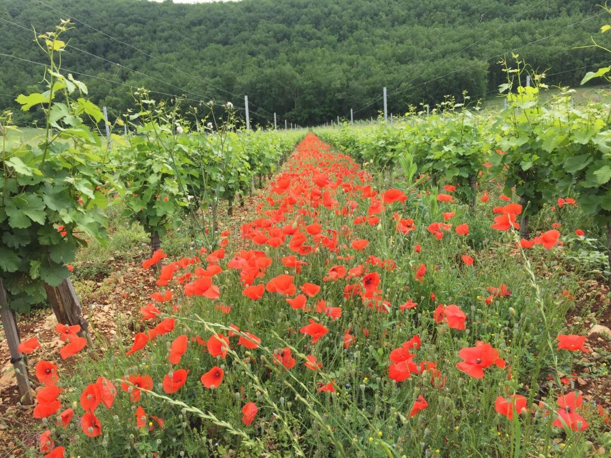 La Provencale B&B Duravel エクステリア 写真